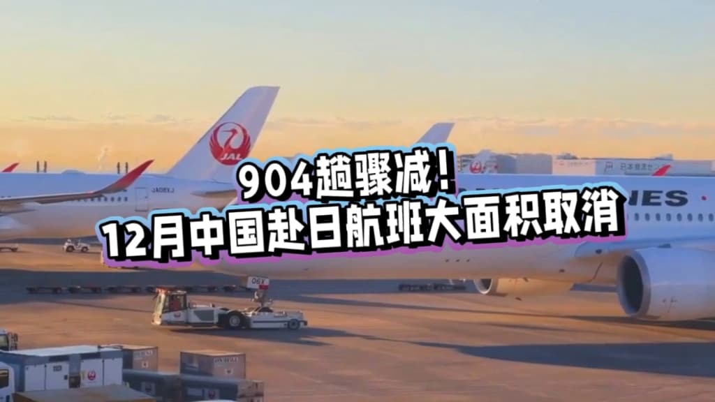 12月中国赴日航班大规模取消 超1900个计划航班被撤