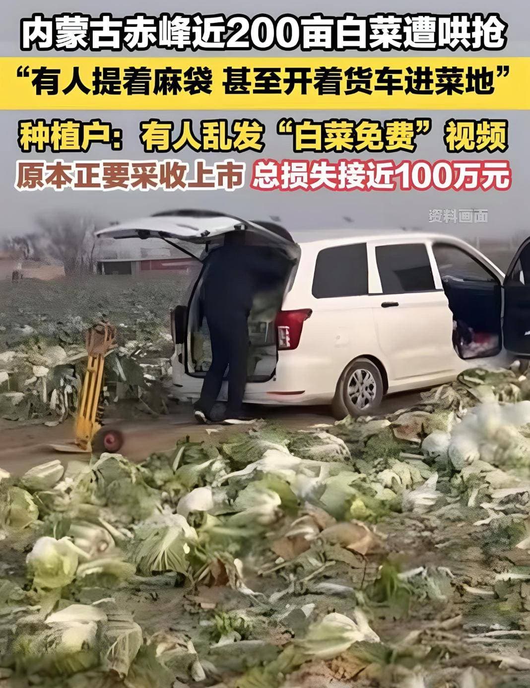 内蒙古赤峰“免费白菜”事件调查结果公布，官方媒体因失实报道被追责
