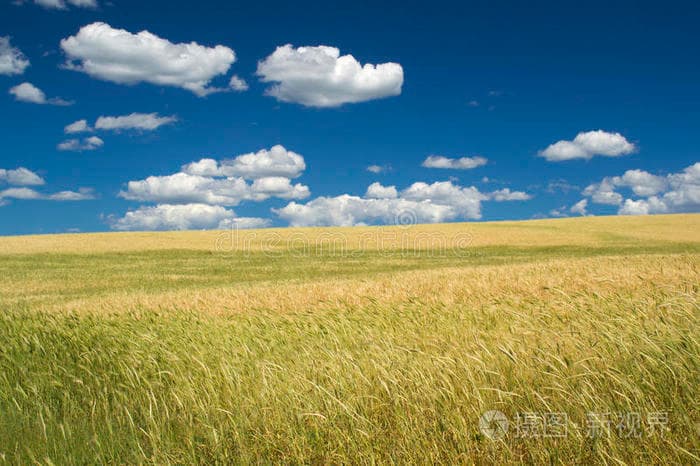 当农业邂逅前沿生物科技
