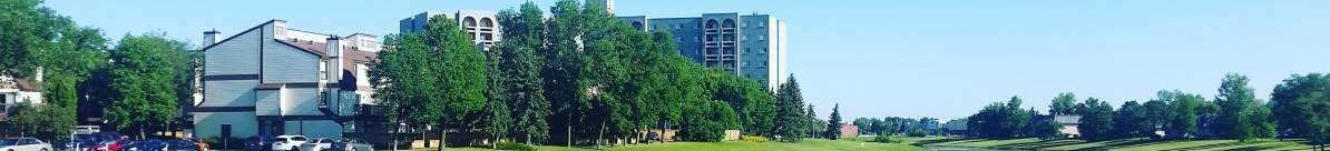 首页新闻半栏广告